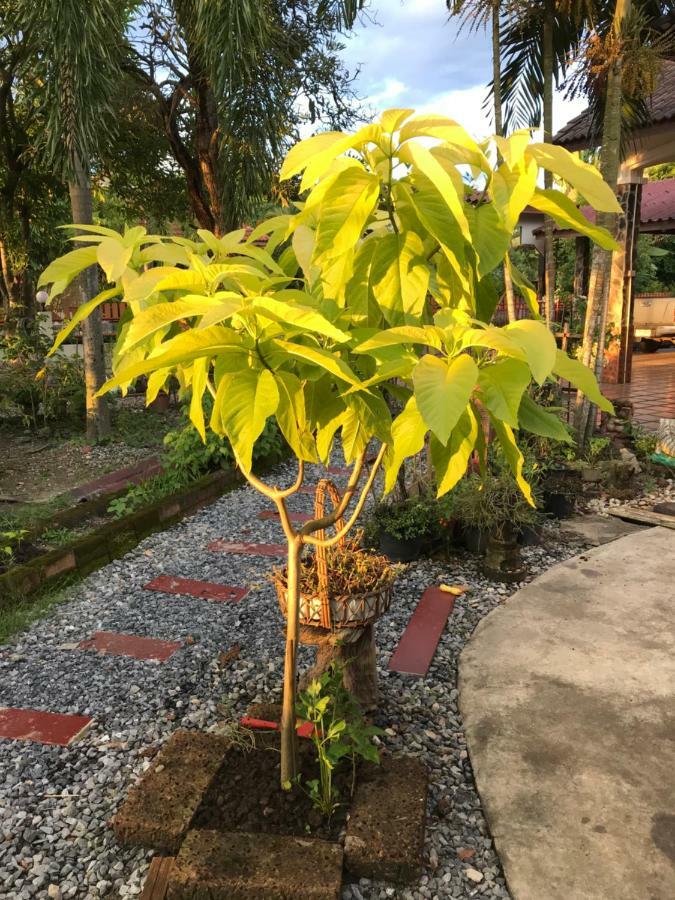 Grandma'S House Apartment Nakhon Nayok Exterior foto